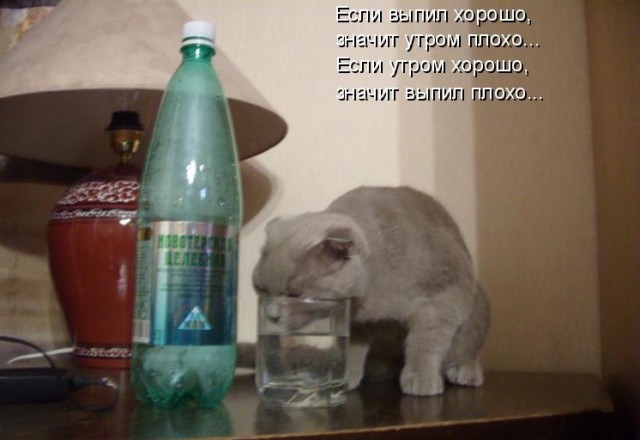 Анекдоты, соц-сети и картинки с надписями