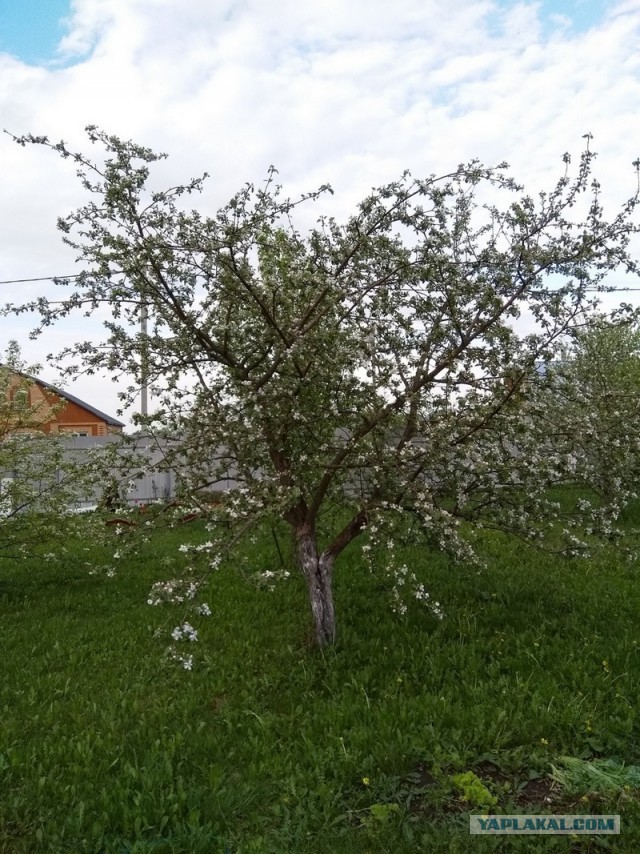 Здравствуйте, я алкоголик, звать меня Саша