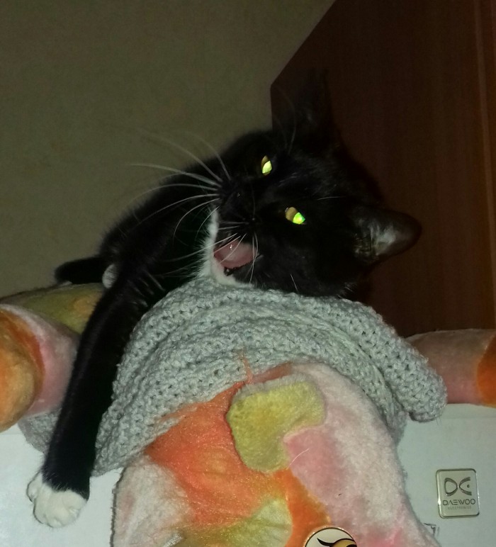 Paзнoвиднocти тьмы