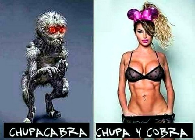 Ассорти из сети
