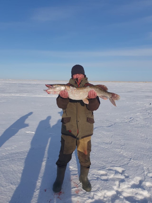 Жаренный берш с медово-огуречным соусом.