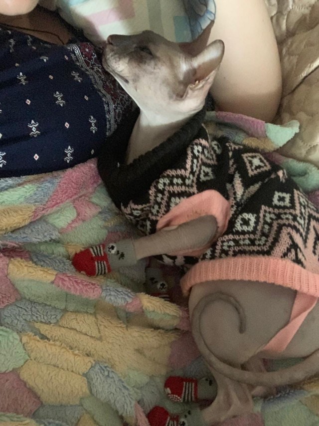 Живность 15.03.20