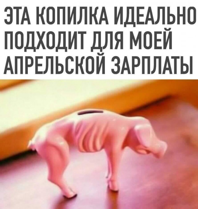 Худая свинья прикол картинки