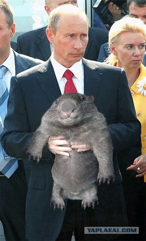 Фотожаба: Путин и зверь