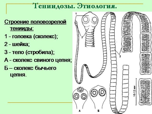 Не получилось быть в центре внимания - пришла новая звезда