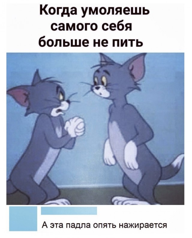 Традиционный Алкотрип