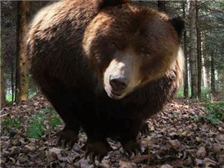 Сижу вот,отдыхаю