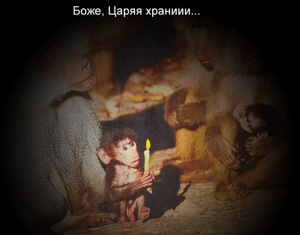 Обезьяний совет