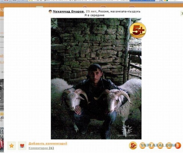 В Ингушетии пограничники поймали Йети