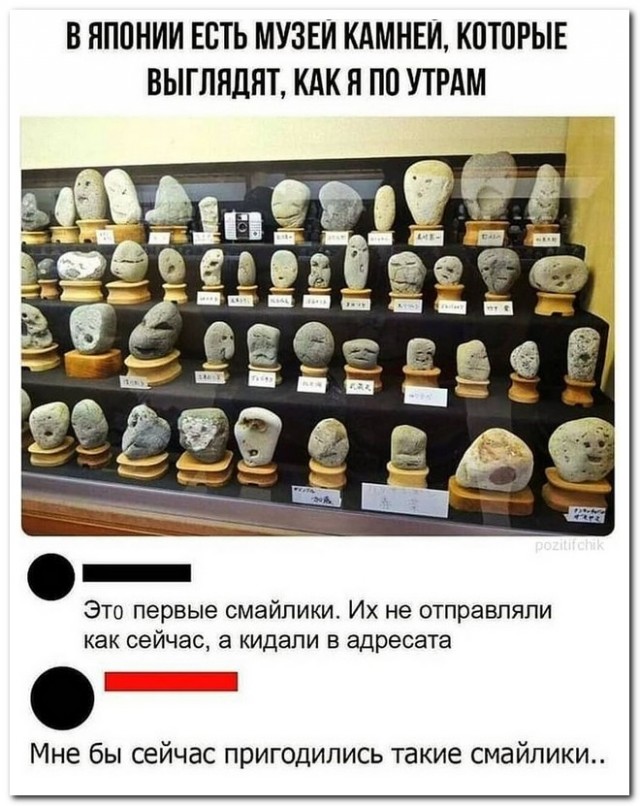 Забавные комментарии из социальных сетей (22.06.21)