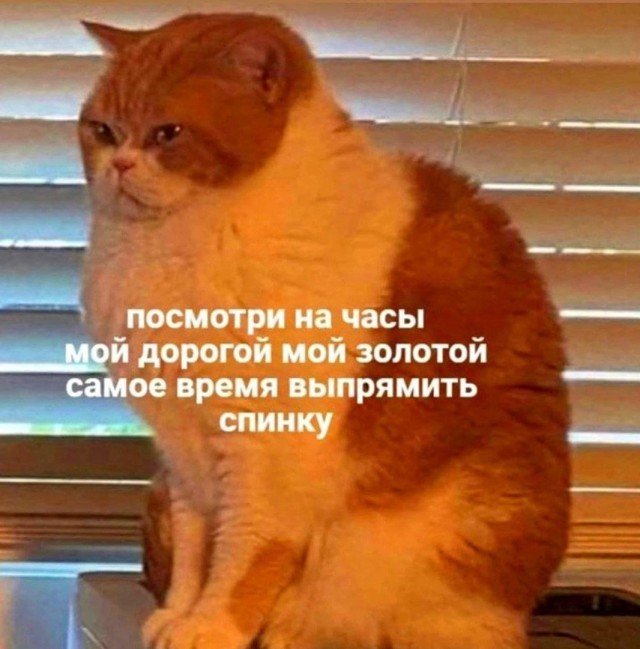 Картинки и мемы для настроения 09.09.2021
