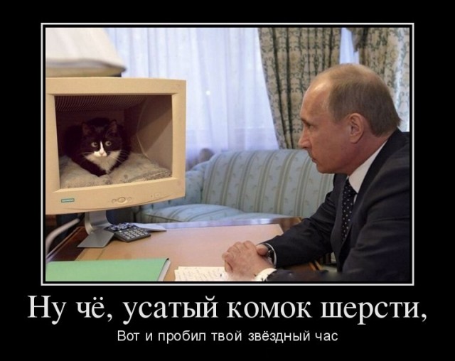 Если президент РФ решит покинуть свой пост, в стране начнется хаос. Вот так-то, понятно.