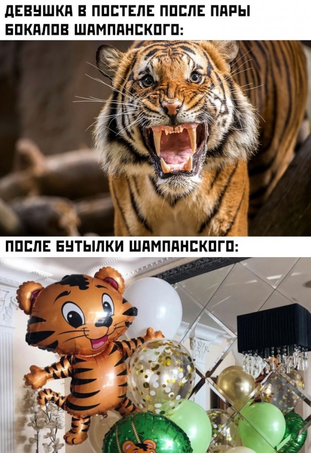 Новогодние и разные картинки