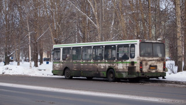 Культурный Питер