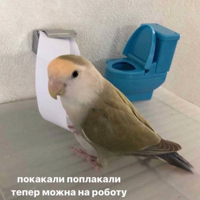 Картинки и мемы, всем прекрасных выходных