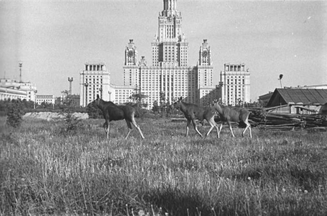 Кругозор