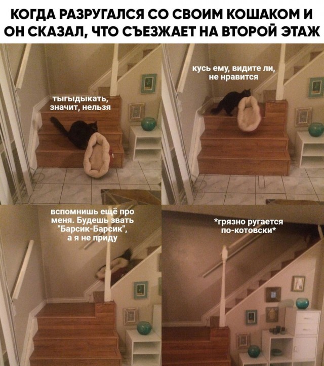 Так себе картинки 28.02.22