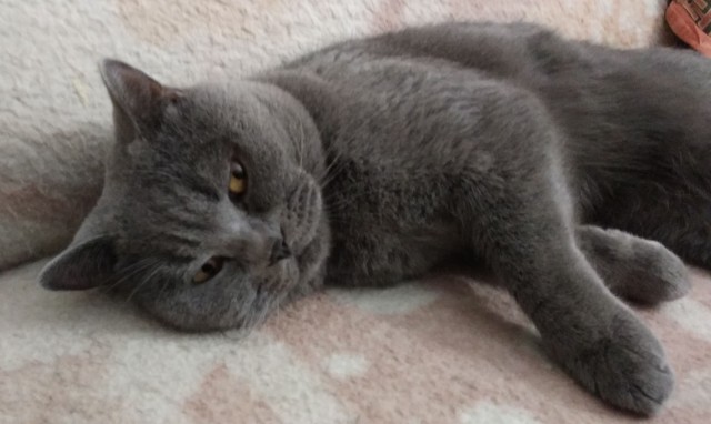 А что, уже вторник?