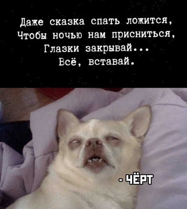 Так себе картинки 23.04.22