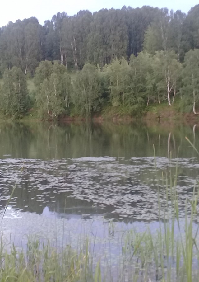 Доброе утро, ЯПъ