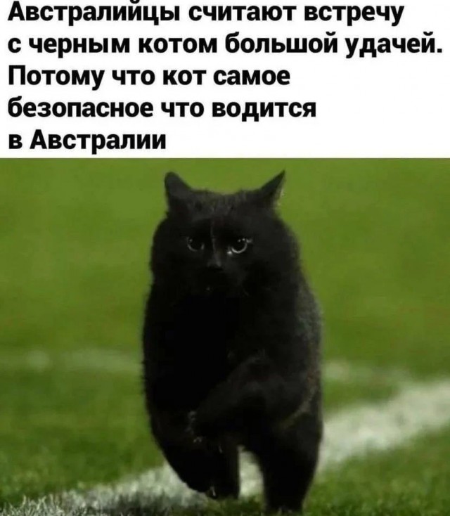 Немного картинок и прочей хреноты Vol. 16