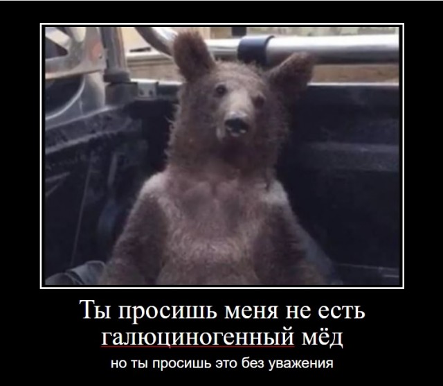 В Турции спасли медведя, который опьянел после употребления галлюциногенного меда.