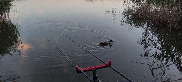 Почти городская рыбалка