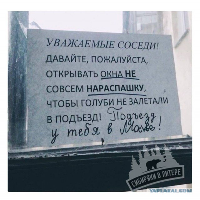 50 оттенков серого если самосвал баянов.  Vol.23