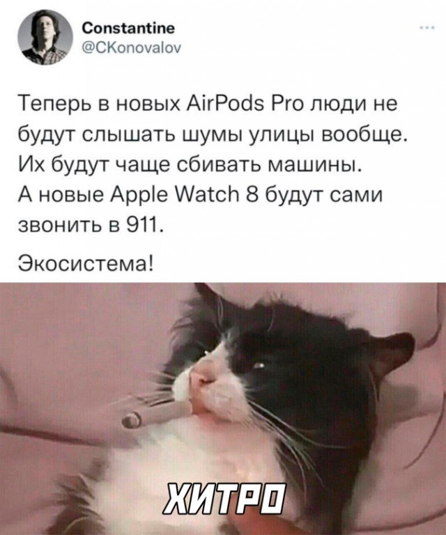 Весёлый полтишок 13.09.22