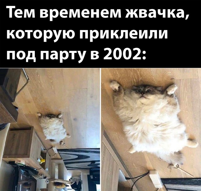 Так себе картинки 01.10.22