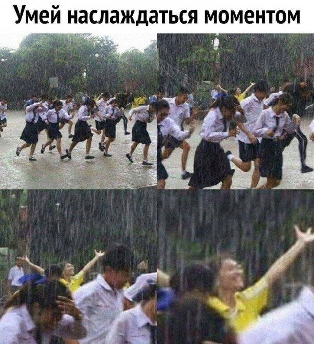 Весёлый полтишок 12.10.22