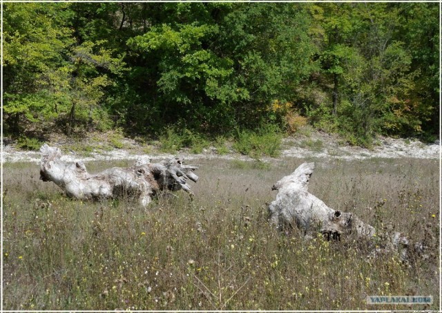 Крым. Новоульяновка. Водохранилище.