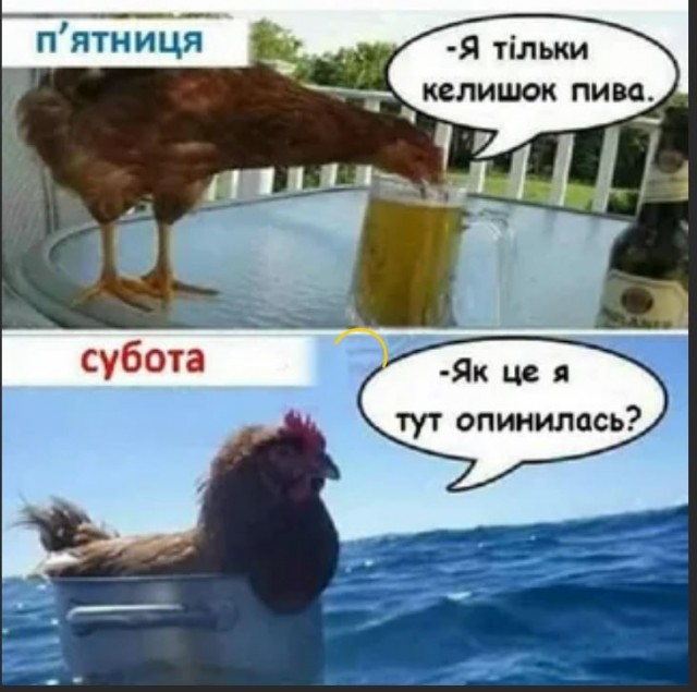 Победная поступь идиотизма по планете – том 3