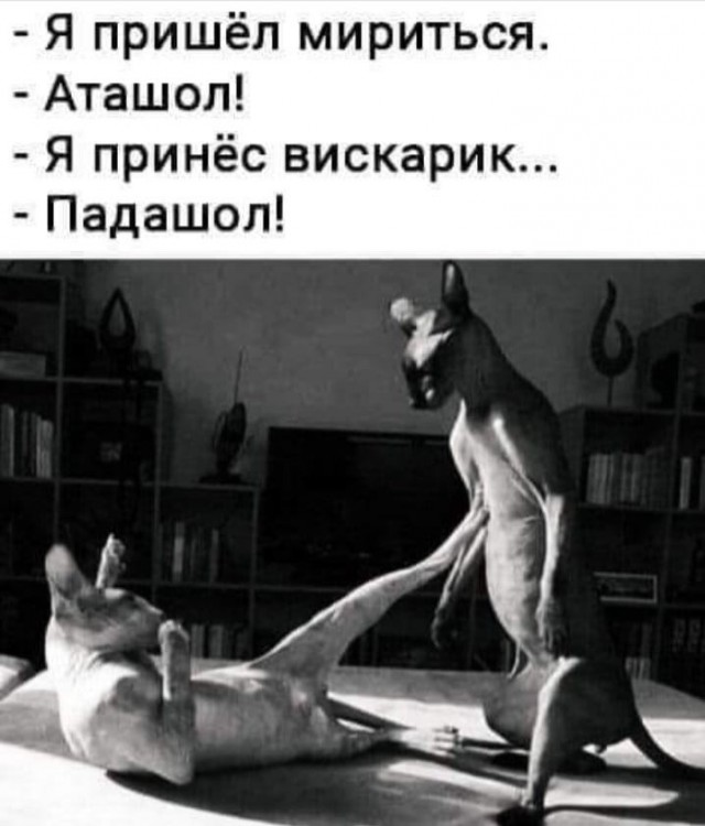 Дети, мы уходим