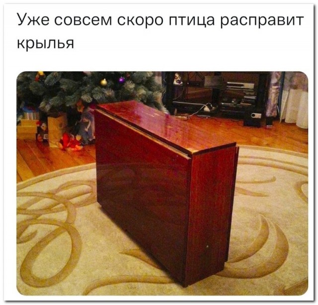 Забавные комментарии из социальных сетей (12.12.22)