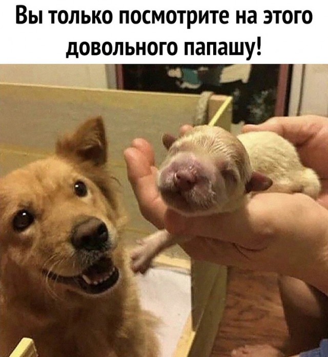 Немного картинок для настроения