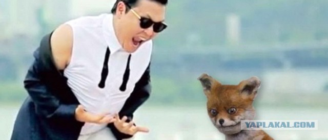 Маразм крепчал