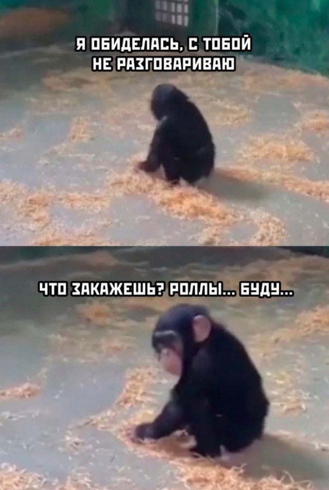 Картинки с надписями для поднятия настроения