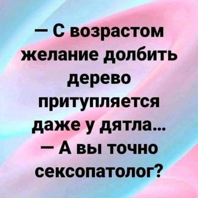 Подборка картинок 14.04.2023
