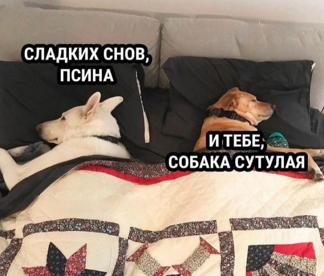 Колесо Сансары по-русски