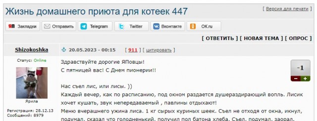 Жизнь домашнего приюта для котеек 447