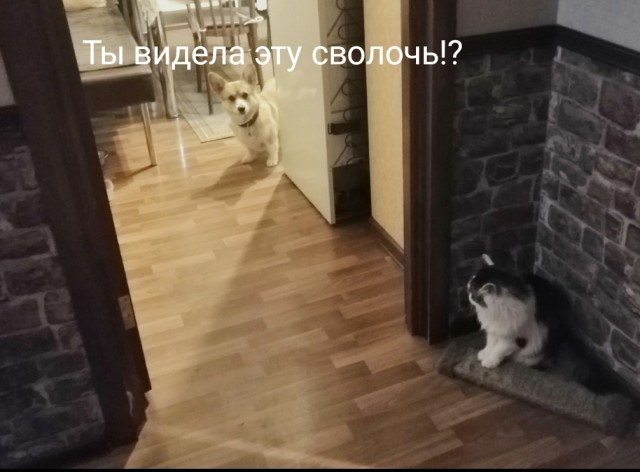 Ушло поколение нормальных женщин
