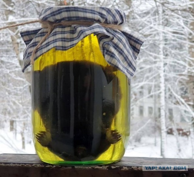Самый качественный алкоголь, который вы пили?