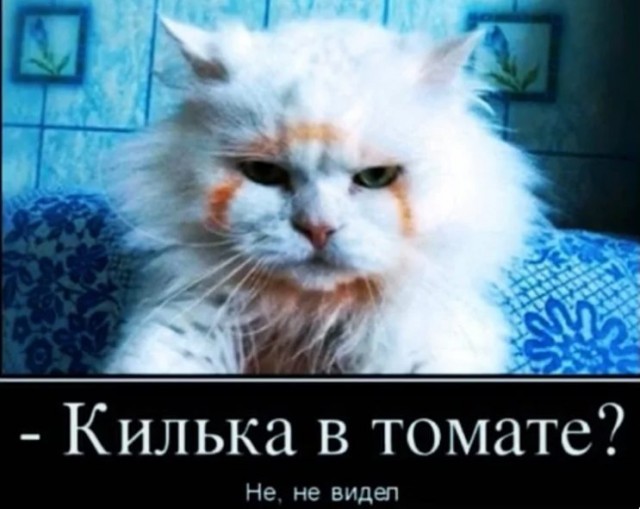 Крупнейший в мире плавзавод "Всеволод Сибирцев" вернулся на родину