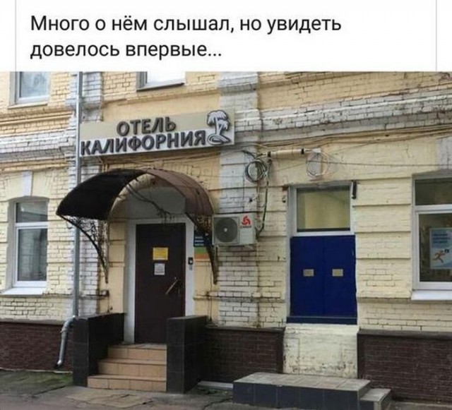 16 юморных вывесок на грани фола, мимо которых точно нельзя пройти, не посмеявшись