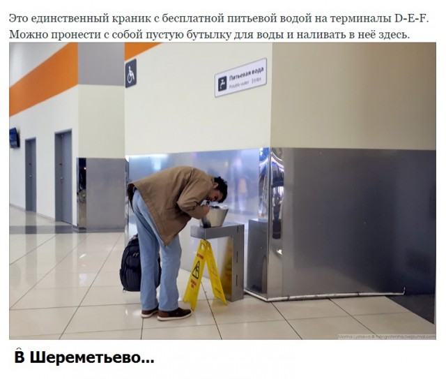 Шереметьево, ты серьёзно?