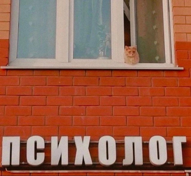Всего понемногу. От 28.09.2023