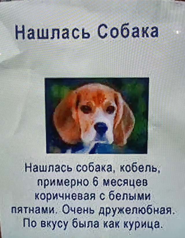 Дристоль два ноль