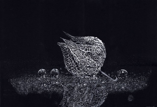 Белым по черному-2