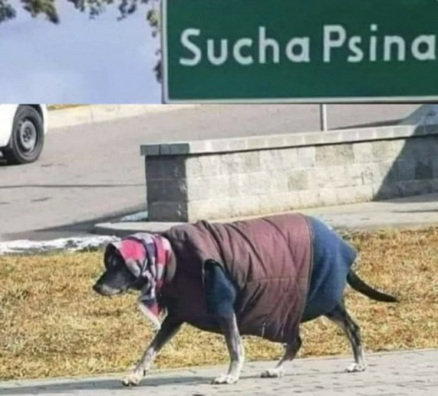 Представляю вашему вниманию...